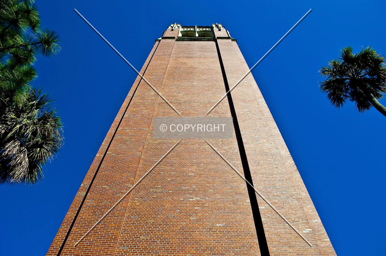 Century Tower, University of Florida, Gainesville, Florida, U.S.A.