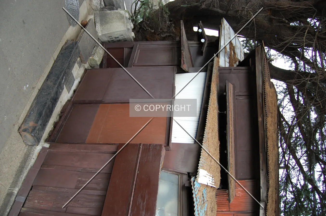 Photo 129-393-883