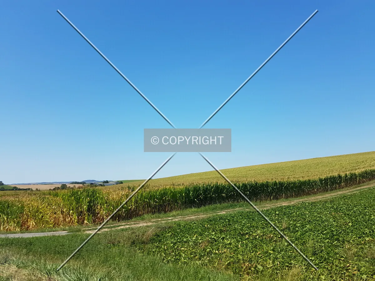Photo 129-408-660