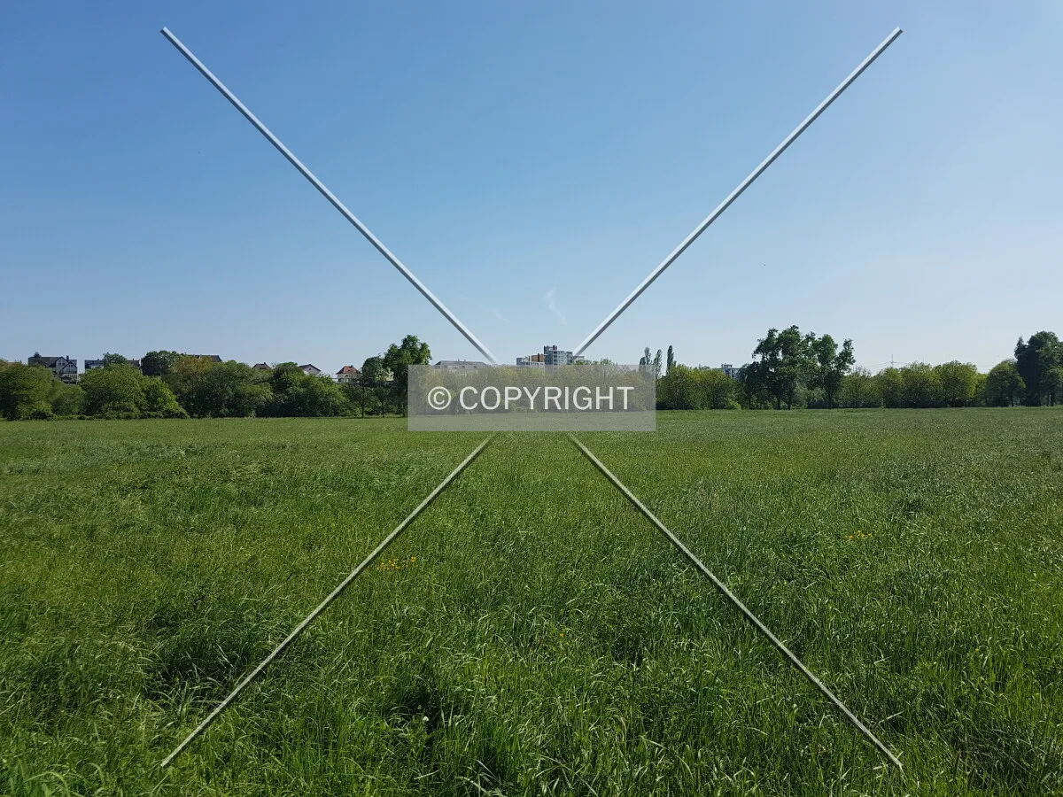 Photo 129-615-579