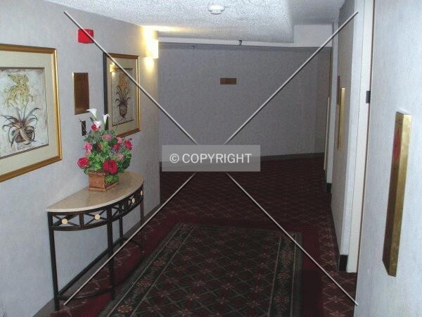 Photo 130-208-392