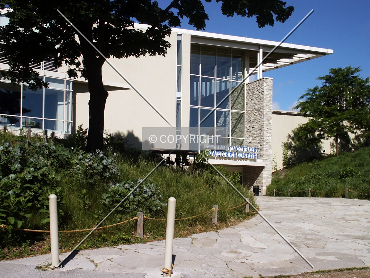 Entrance area from the east