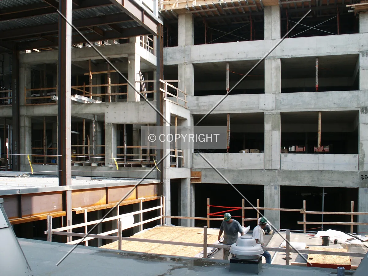 North central section from the back terrace of 818 Church Street
