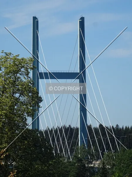 Photo 130-596-427
