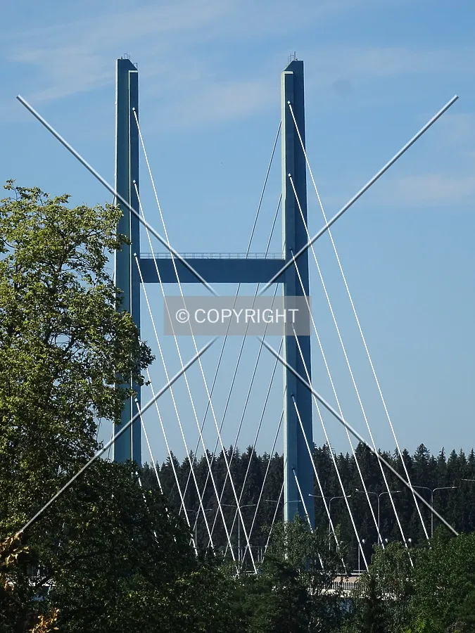Photo 130-596-427