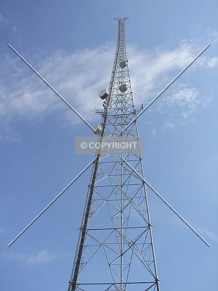 Photo 130-659-242