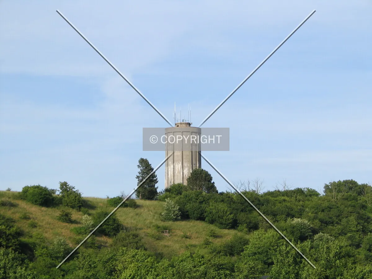 Photo 130-690-907