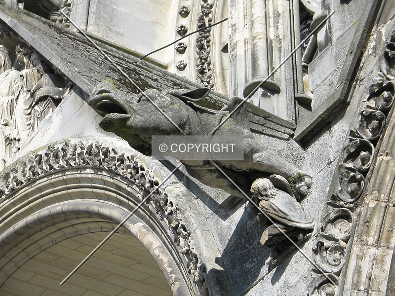Photo 130-818-402
