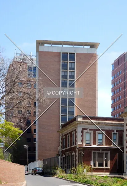 Photo 130-895-972