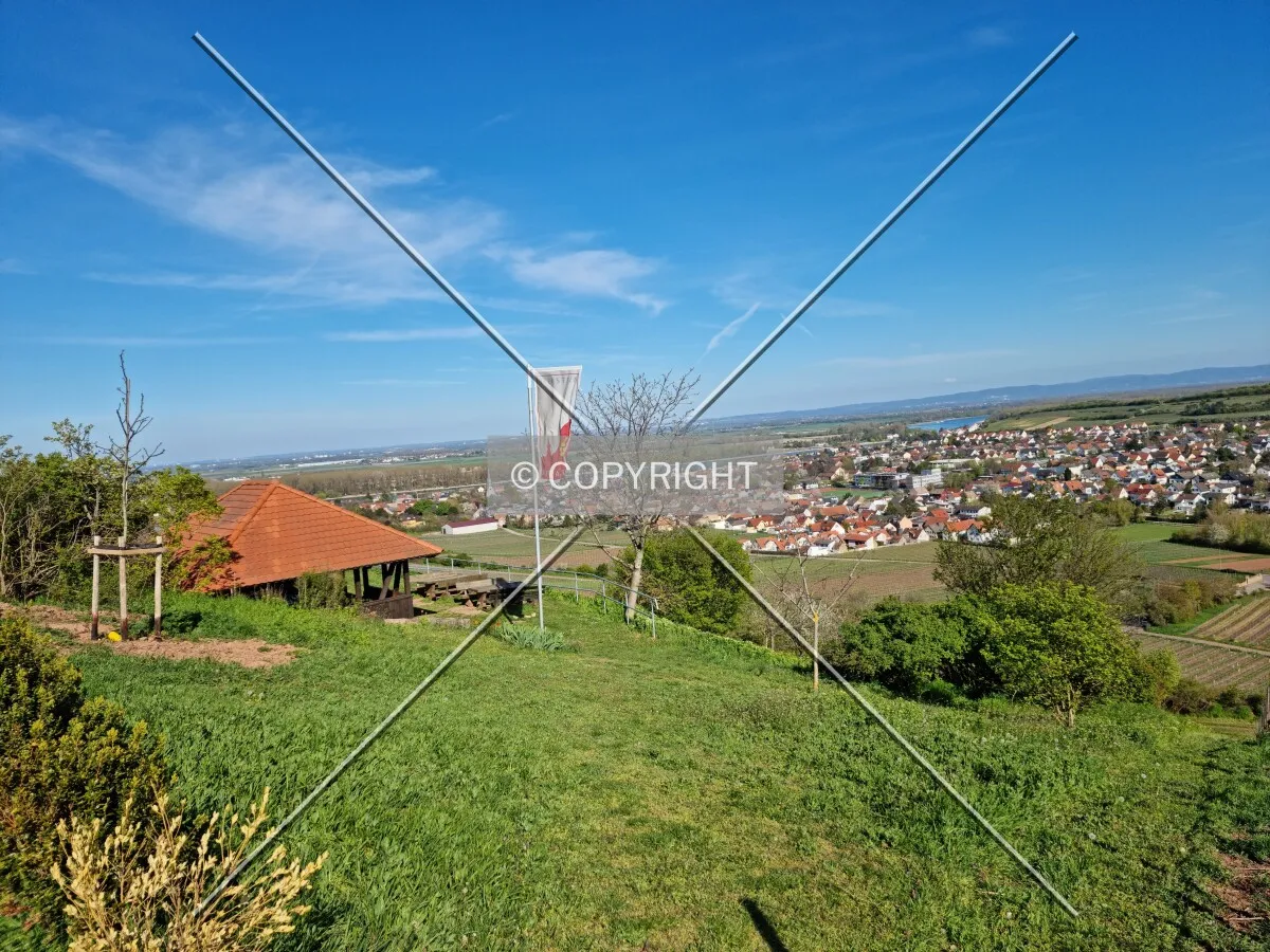 Photo 131-394-429