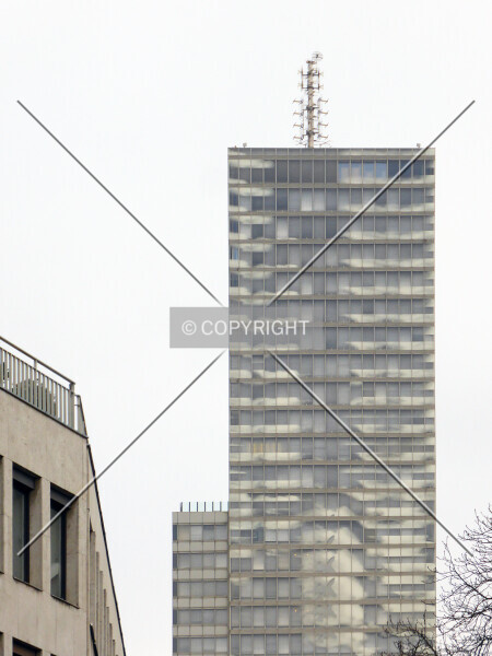 Photo 013-144-975
