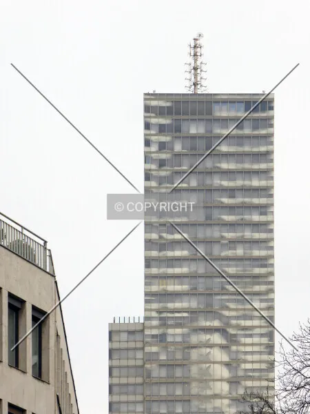 Photo 013-144-975