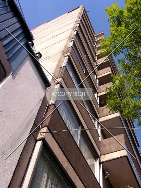Photo 131-456-342