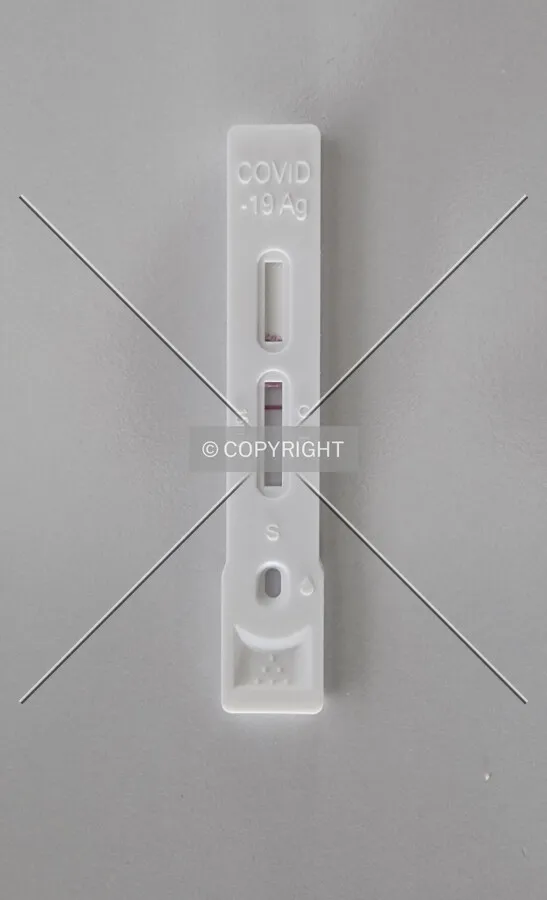 Negative COVID-19 test