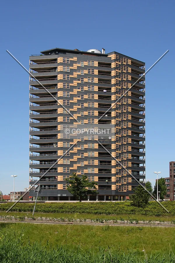 View from the southeast