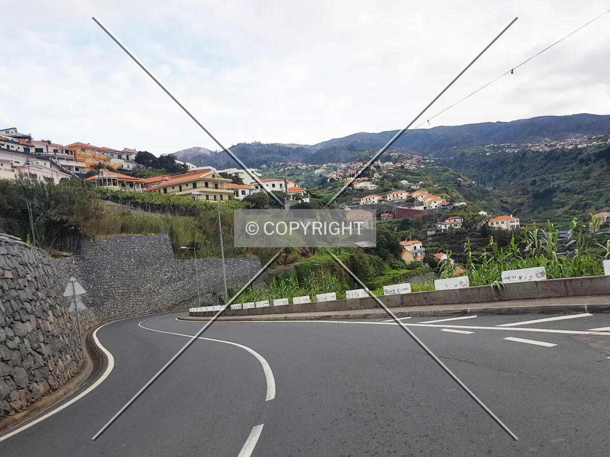Photo 132-139-959