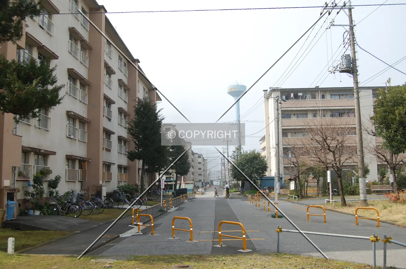 Photo 132-247-598