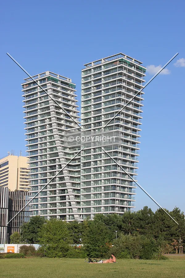 Photo 132-270-629