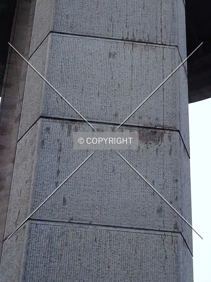 Photo 132-291-160