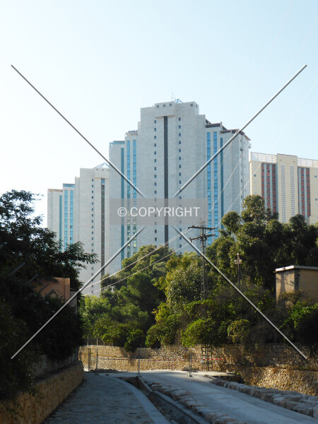 Photo 132-393-051