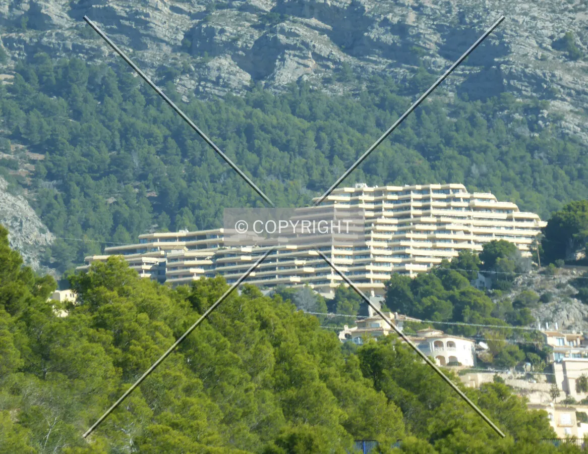 Photo 132-711-342
