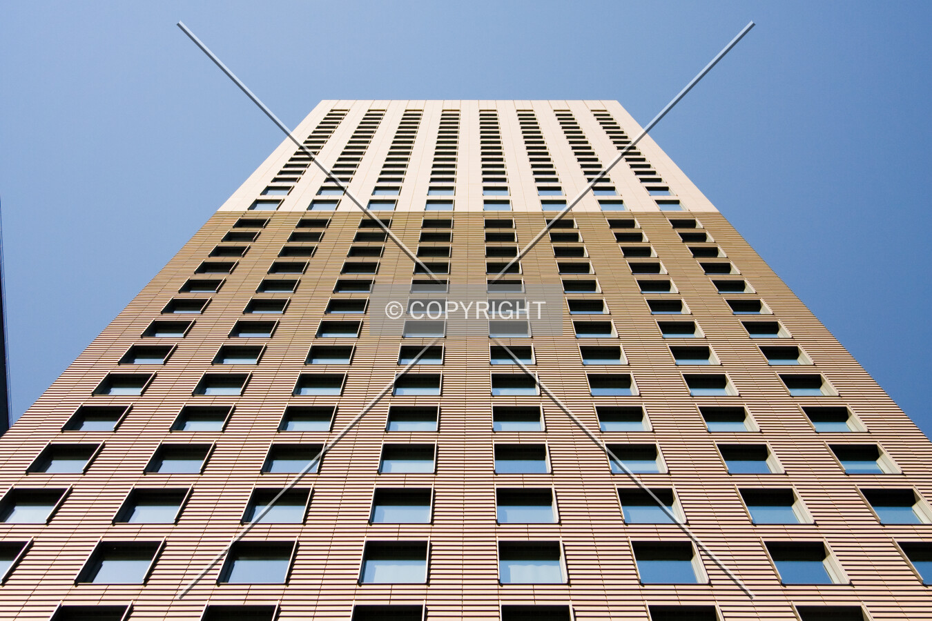 Photo 133-166-435