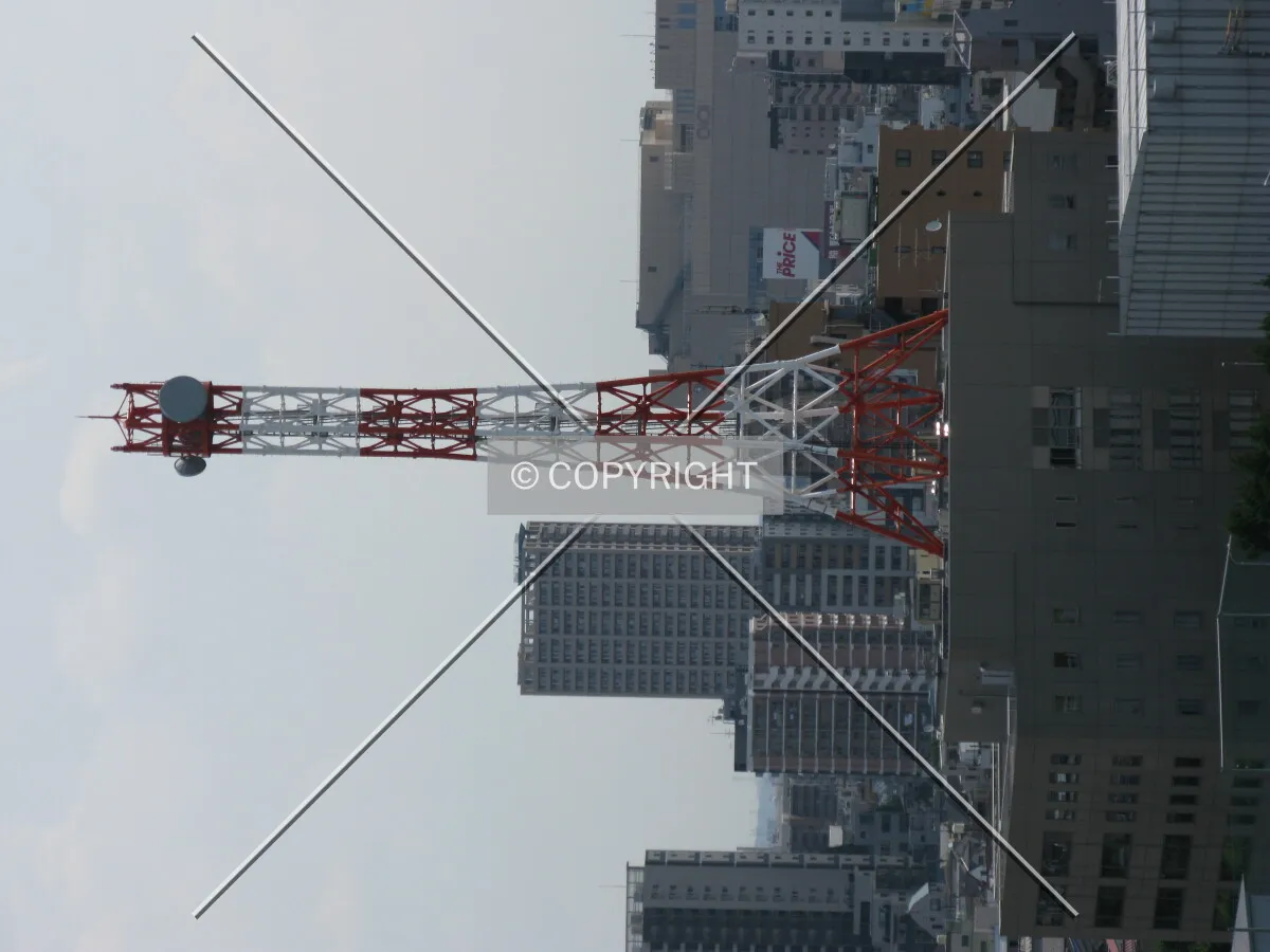 Photo 133-284-827