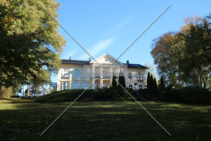 Photo 133-285-148