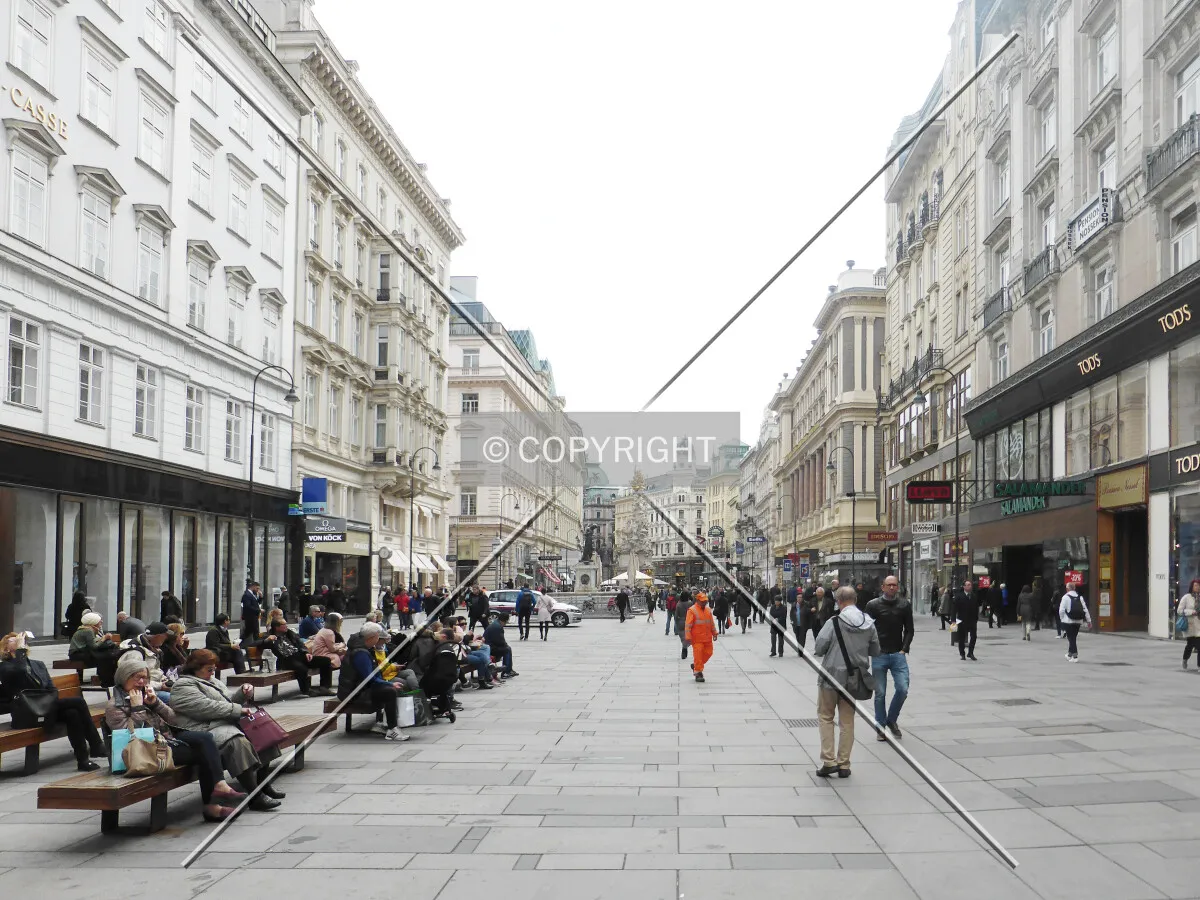 Photo 133-355-683
