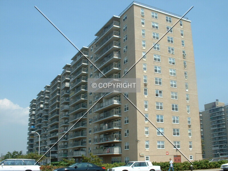 Photo 133-449-477