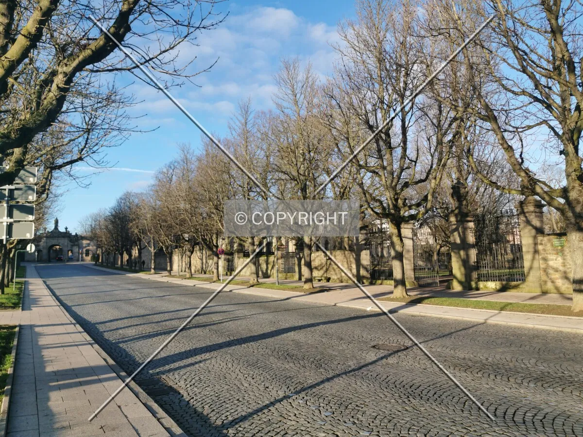 Photo 133-705-444