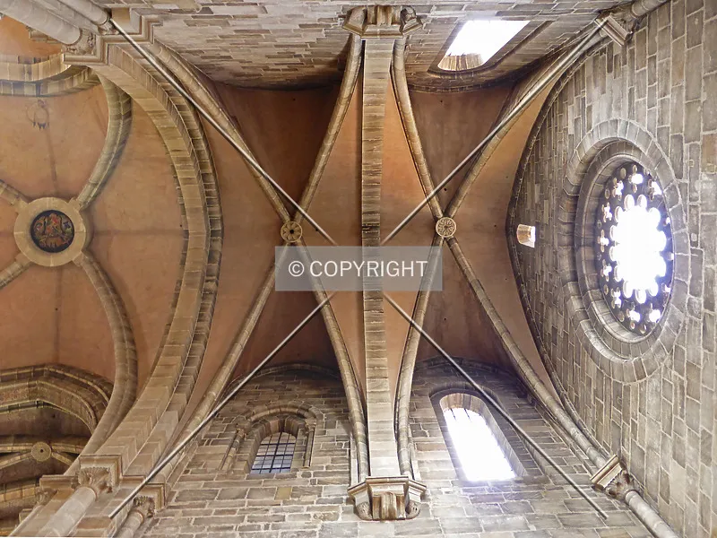 Photo 133-729-348