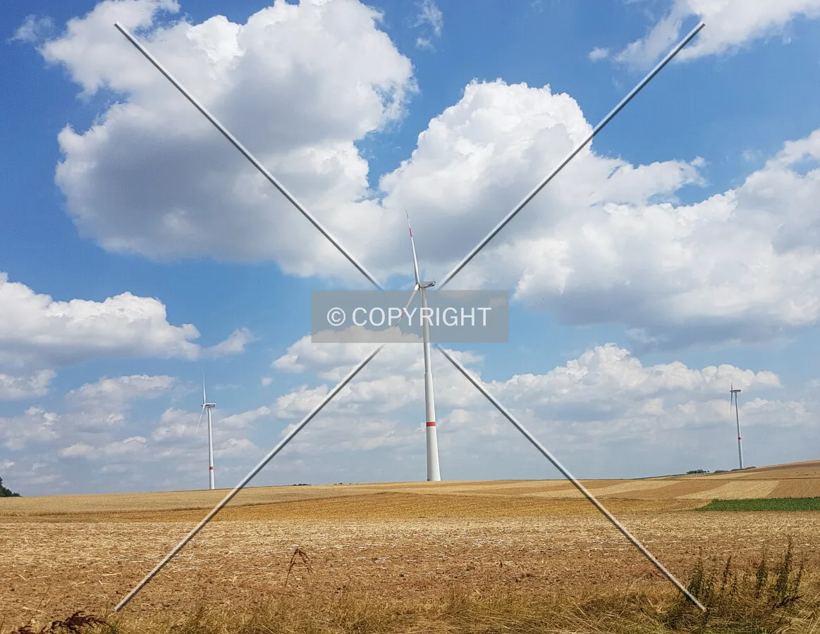 Photo 133-745-673
