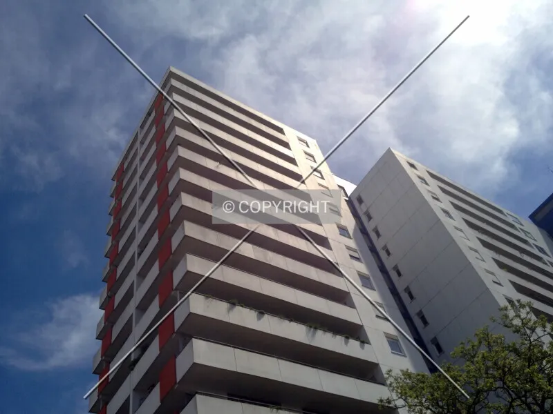 Photo 133-997-542