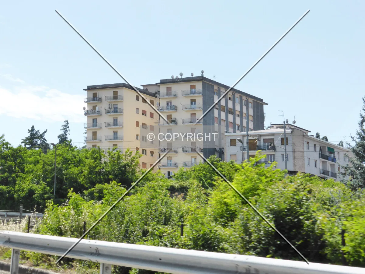 Photo 134-014-653