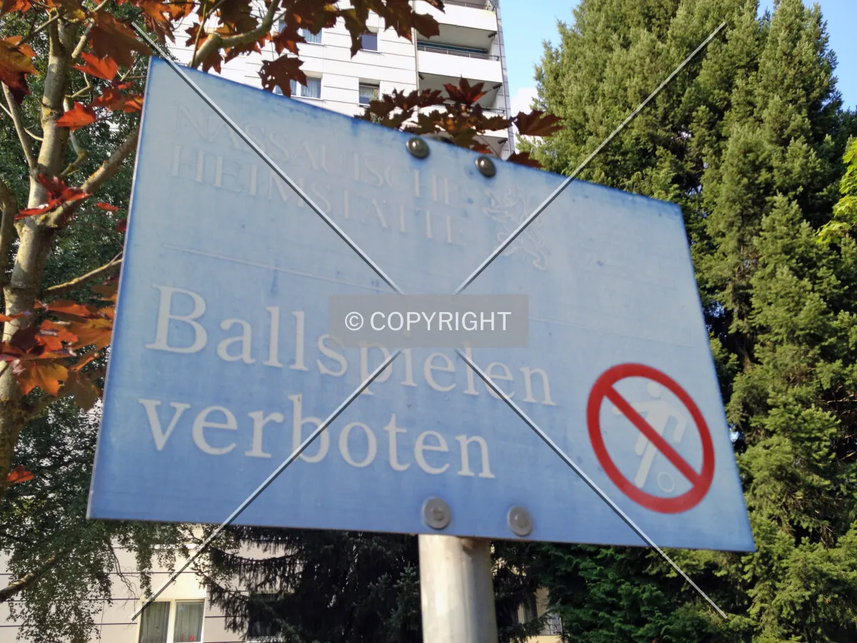 Playing with balls is forbidden on this property