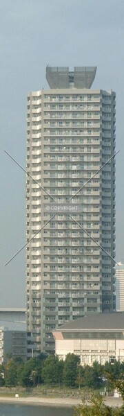Photo 134-155-311