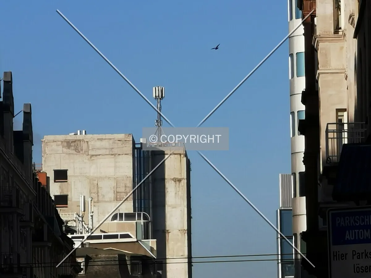 Cellular phone mast