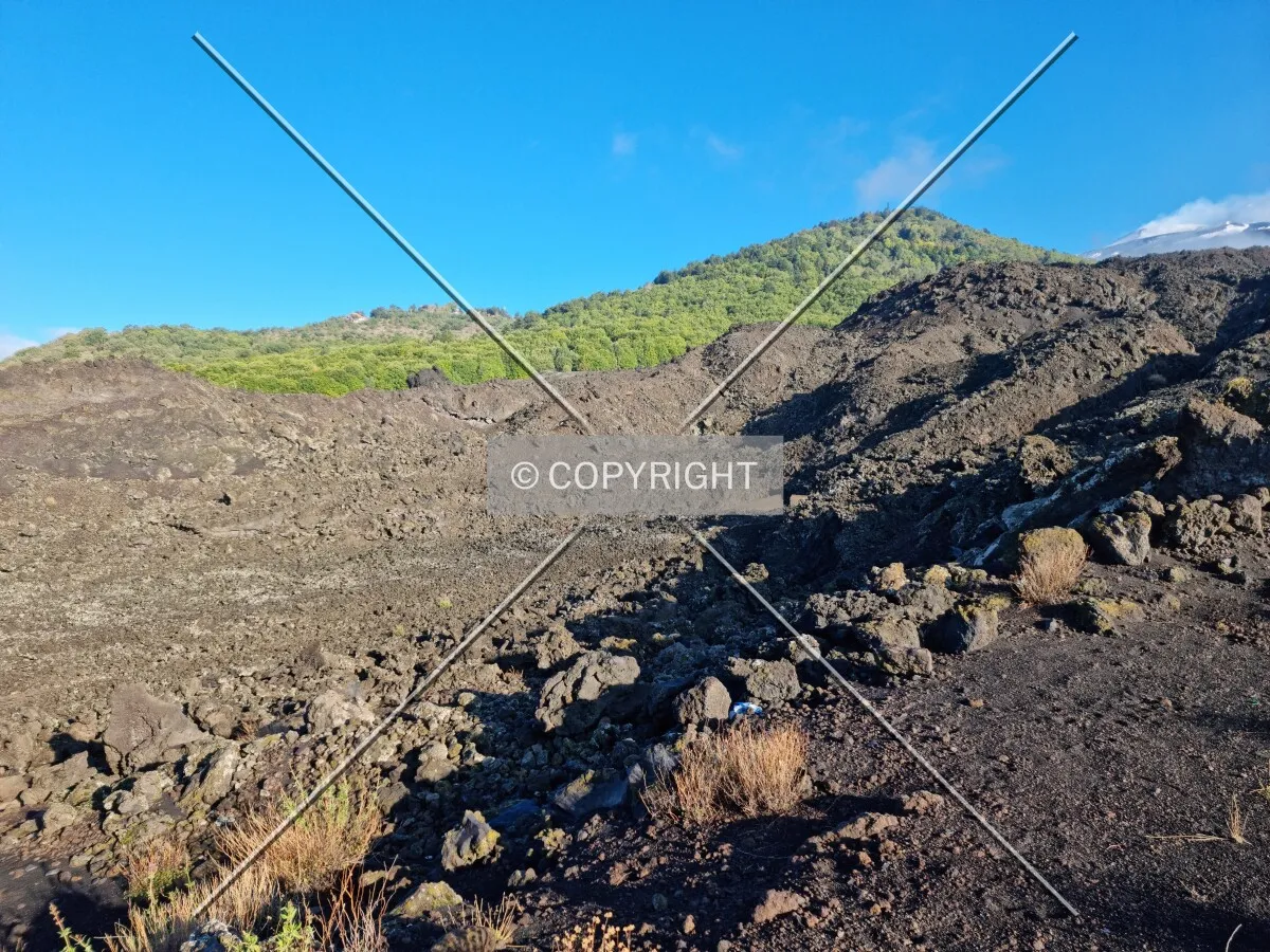 Photo 134-354-452
