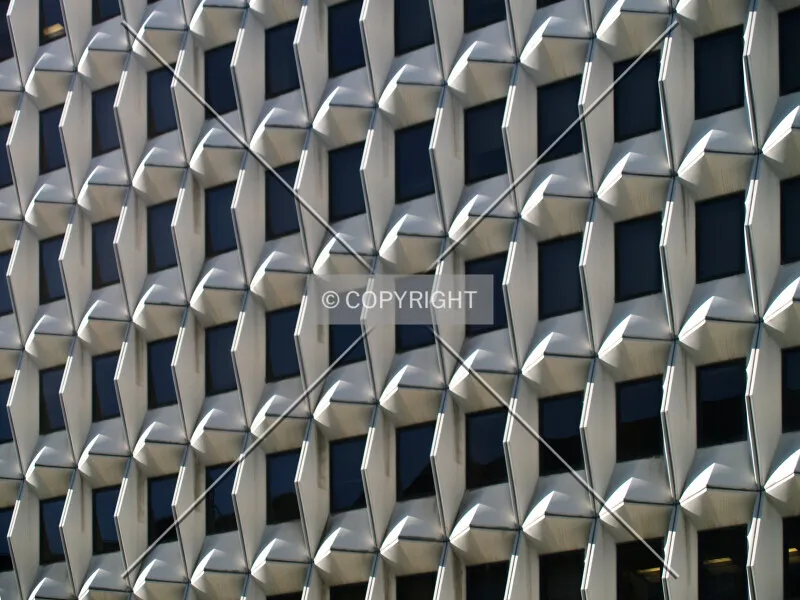 Photo 134-498-309