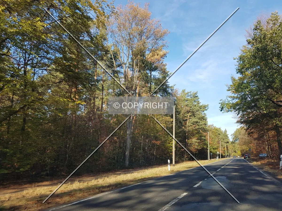 Photo 134-574-950