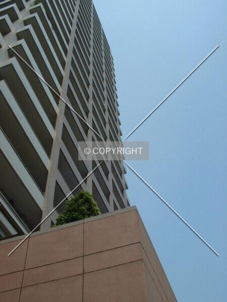 Photo 134-701-258
