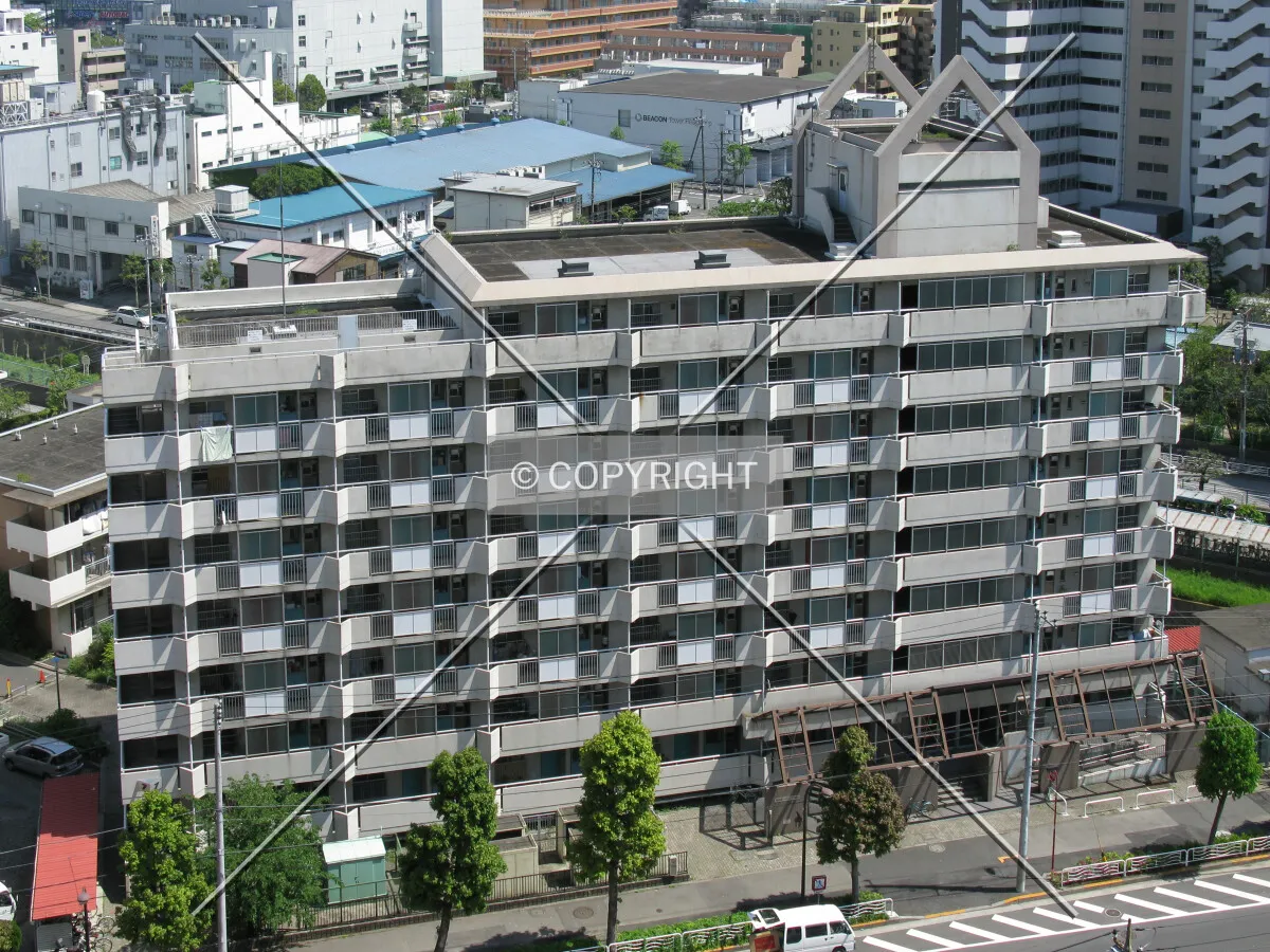 View from the northwest