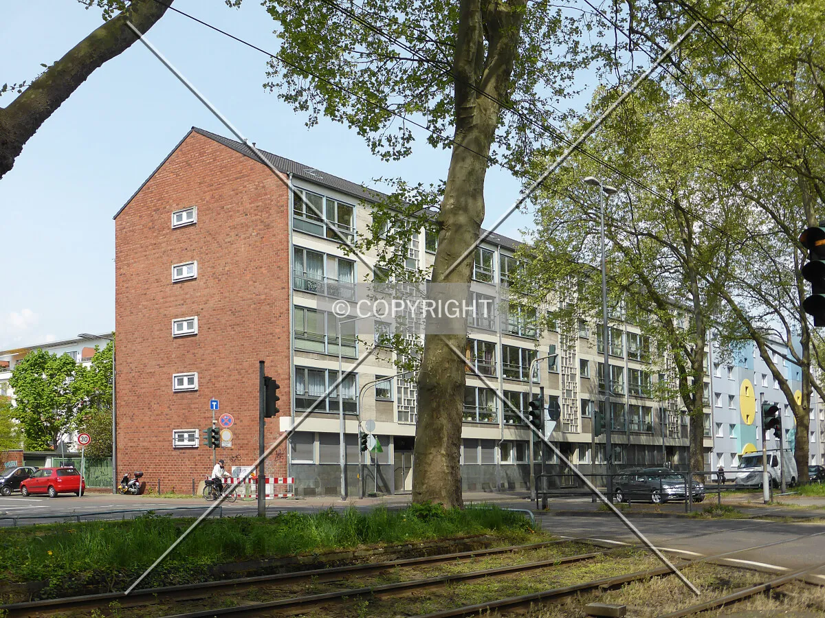 Photo 134-821-350