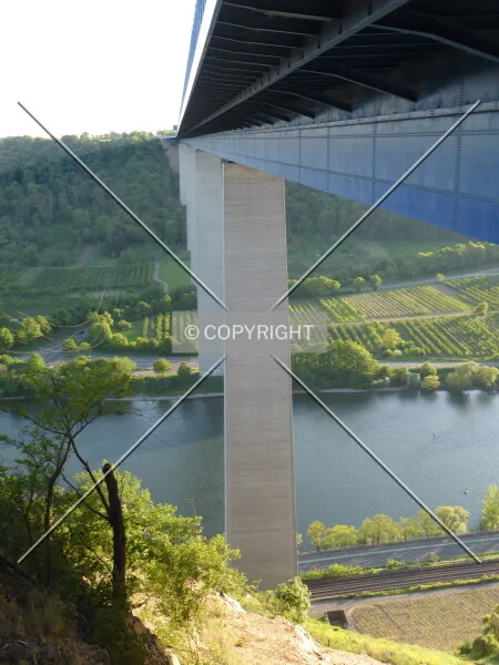 Photo 134-938-493