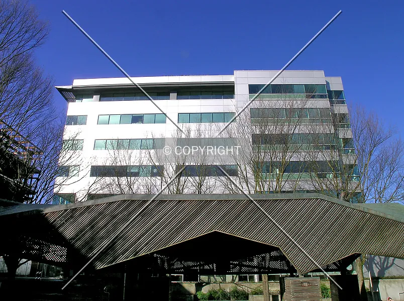 Photo 134-999-728