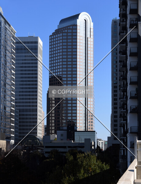 Photo 135-142-343
