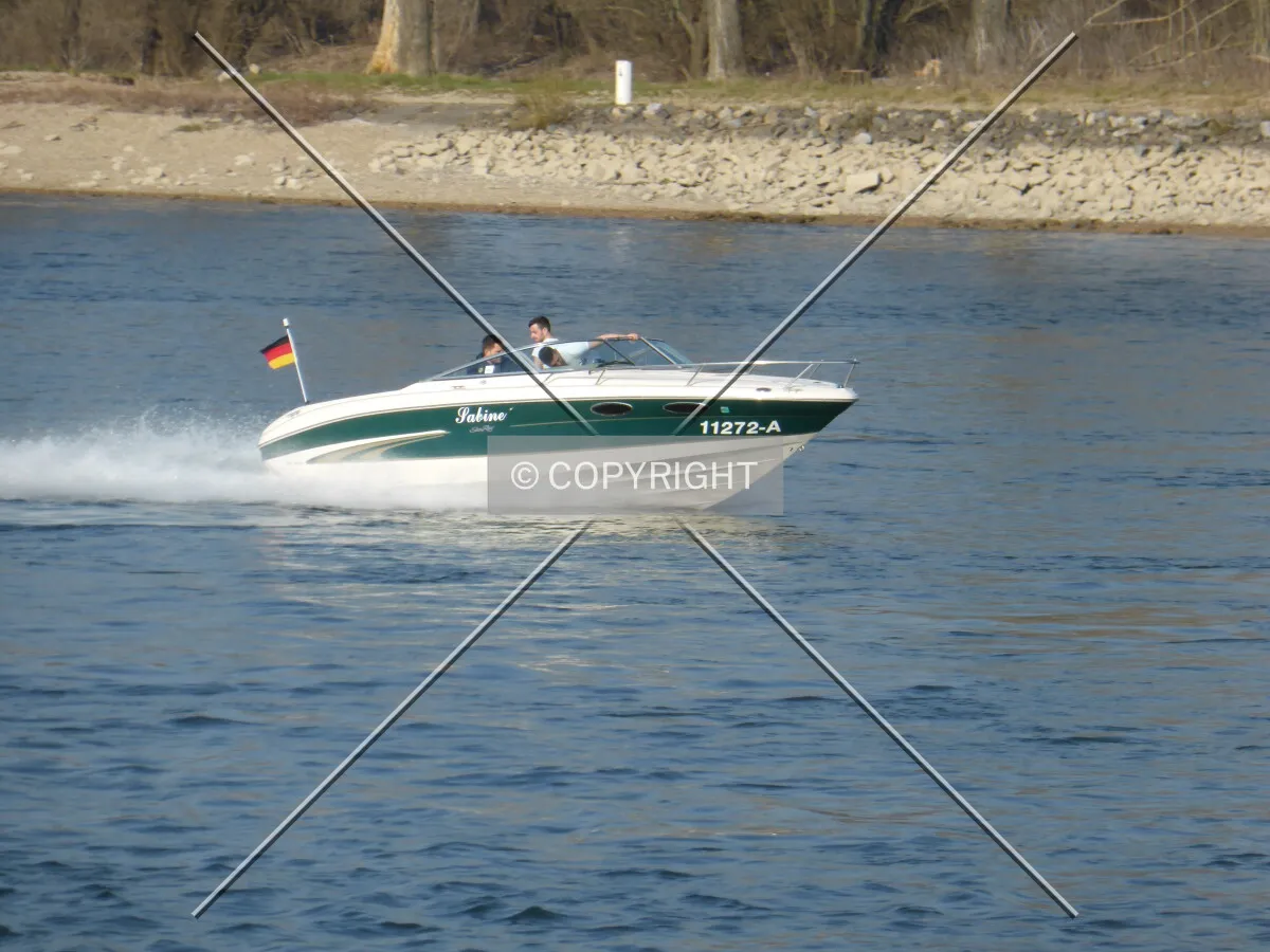 Photo 013-516-455