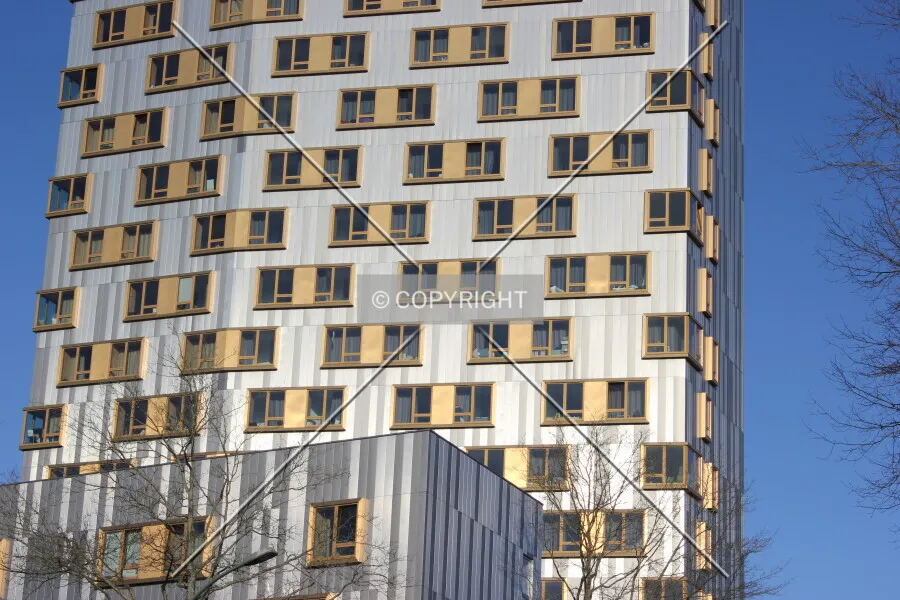 Photo 135-221-439