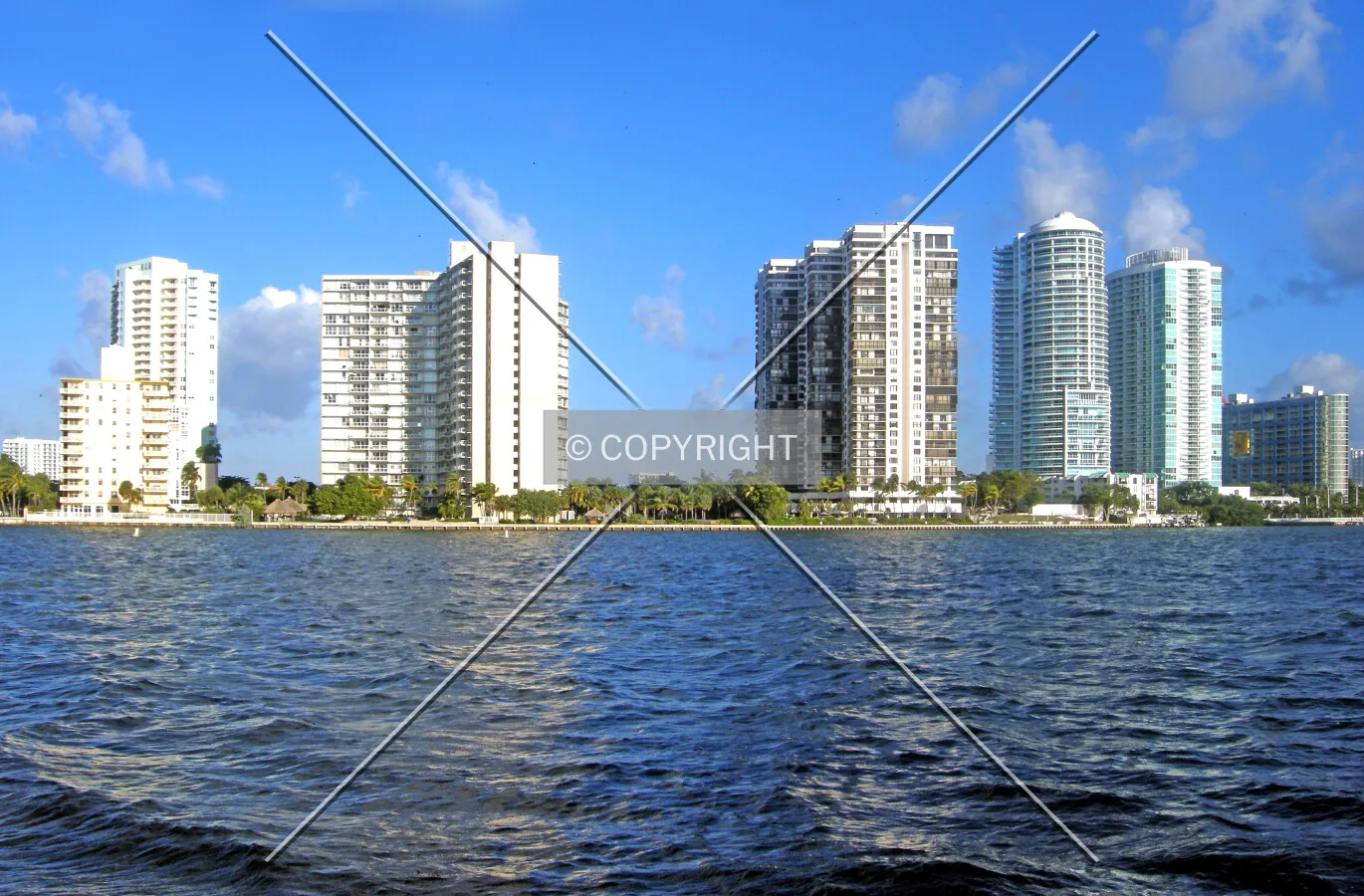 Photo 135-623-446